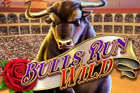 Bulls Run Wild